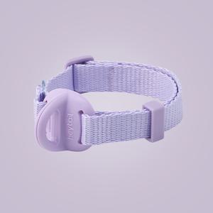헤이테일 에어워크 목줄 초경량 소형견 중형견 순면 칼라 3종 (M-L)