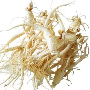 세척+진공포장 중간파지 500g