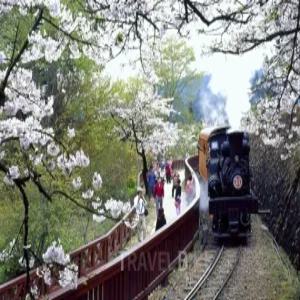 부산출발 가오슝 4일 #타이난 #아리산 #노쇼핑
