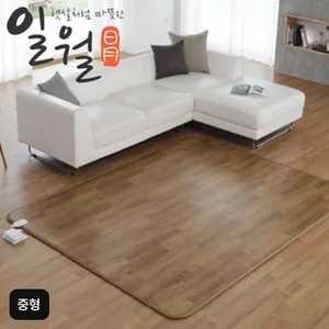 일월 그랜드 카본마루 거실용매트 중형3452