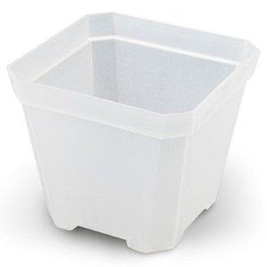 고품질 미니 사각 화분 컬러 10x10cm 다육이 플라스틱화분 미니소형화분 인테리어화분 (WFHORXR)