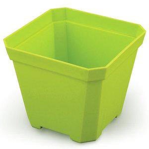 고품질 미니 사각 화분 그린 10x10cm 다육이 플라스틱화분 미니소형화분 인테리어화분 (WFHORWJ)