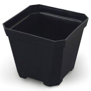 고품질 미니 사각 화분 블랙 10x10cm 다육이 플라스틱화분 미니소형화분 인테리어화분 (WFHORXB)