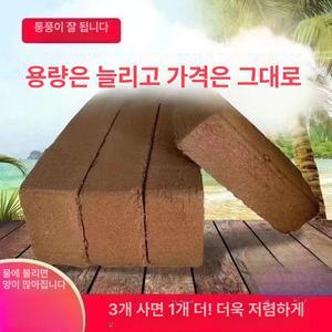 코코넛 벽돌 껍질 블록 영양 화분용 난초 열대
