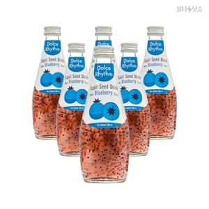바질씨드음료 블루베리맛 재미난식감 음료수 290ml 6개