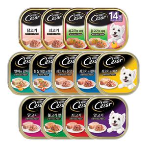 [댕냥이] 시저 캔 강아지 습식사료 습식캔 100g