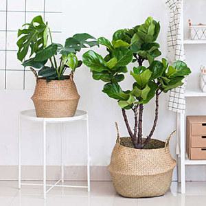 가정용 정원용 대형 해초류 바구니 등나무 걸이식 화분 빨래 22cm 27cm 32cm 38cm 45cm