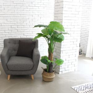 인조나무 조화 화분 2단 알로카시아 120cm (17잎)
