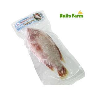 [루츠팜]베트남 냉동 레드 틸라피아 950g 내외 ca dieu hong 레드틸라피아 베트남생선