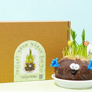 민화샵 토피어리 만들기 화분 새싹키우기 식물 재배키트 장식 밀싹 DIY 반려식물