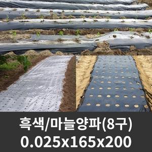 흑색 유공비닐 마늘/양파 0.025x165x200 8구