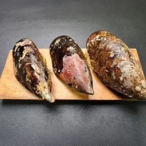 제철 자연산 특대 섭 담치 홍합 2kg