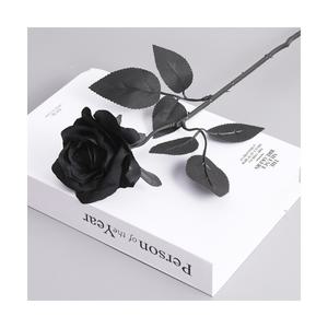 흑장미 장미조화 한송이 꽃 블랙로즈 인테리어 소품 GS0101191A