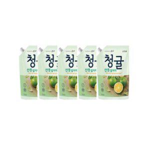 주방세제 참그린 리필형 청귤주방세제 1kg리필세제 5개입세제팩