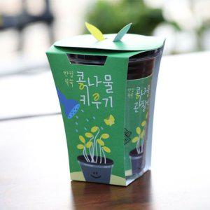 새싹키트 콩나물키우기 관찰일지 재배 시루 한컵쑥쑥