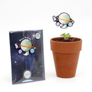 스위트바질 새싹키우기 관찰학습 우주여행 씨앗카드