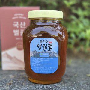 국산 설악산 명월꿀 잡화꿀 사양벌꿀 2.4kg