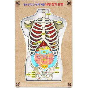 GTCO 인체 퍼즐 내부장기모형(3pcs)(1인용)