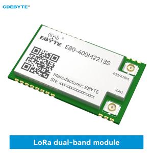 LoRa 스프레드 스펙트럼 모듈, 듀얼 밴드 433Mhz 2.4G SMD TCXO CDEBYTE E80-400M2213S SPI RF 모듈, Sub-G 무선 모듈, LR1121
