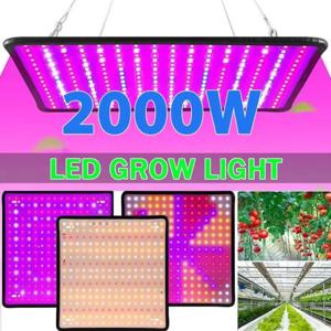 LED 전체 스펙트럼 식물 전구 온실 실내 식물 성장 조명, EU, AU, UK, US 플러그, 다양한 색상 사용 가능, 최신 성장 램프