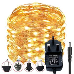 10m 20m LED DC12V 마이크로 쌀 와이어 구리 요정 문자열 조명 파티 따뜻한 화이트/블루/RGB + 12V 2A/1A 영국/EU/AU/미국 전원 어댑터