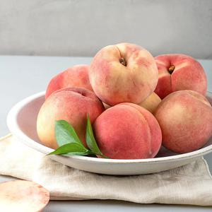 딱딱이 백도 4kg / 대과 / 15-17과내외