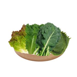 늘바른 국내산 친환경 무농약 쌈모듬4종 200g 4봉 적상추 청상추 깻잎 쌈케일