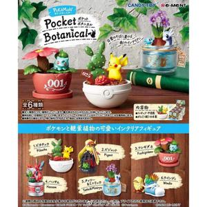 포켓몬 블라인드 박스 장난감 미니어처 분재 장면 Pidgeot Dragonair Bulbasaur Growlithe Scizor 인형 장난감 장식품 수집