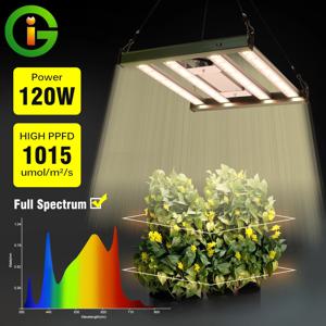 식물 빛 120W Led 성장 빛 IP65 식물 램프 전체 스펙트럼 튜브 수경 램프 온실 꽃 씨앗 성장 텐트