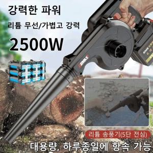 다기능 고출력 리튬 송풍기 충전식 소형 차량용 먼지 제거기 공업용 리튬이온 에어 블로우 리튬 무선/가볍고 강력/강력한 파워/2500W