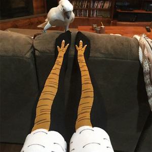 남자 재미 있은 3D 치킨 양말 인쇄 만화 코스프레 높은 유연성 허벅지 높은 양말 코튼 패션 얇은 발가락 피트