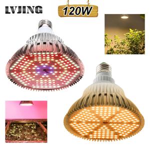 LED 성장 빛 100W 120W 전체 스펙트럼 Fitolamp 수경 법 실내 Vegs 꽃 묘목 식물에 대 한 Phyto 램프