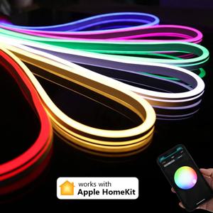 Homekit WiFi RGB 네온 LED 스트립 빛 1m 2m 3m 5m 방수 디밍이 가능한 유연한 램프 미니 컨트롤러 12V 전원 Siri 음성 제어