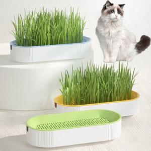 수경 고양이 잔디 상자 고양이는 Catnip 수경 무토양 심기 고양이 잔디 냄비 세트를 쉽게 성장시킵니다.