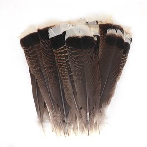 10Pcs 자연 독수리 새 깃털 장식 공예에 대 한 긴 큰 터키 깃털 Plumas 카니발 액세서리 웨딩 장식