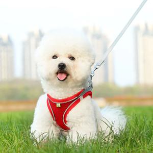 탈출 방지 강아지 하네스 & 리드 세트 (소형견, 고양이, 강아지용) 반사 조끼, 고양이 산책줄, 애완용품