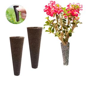 식물 재배 브래킷 사막 장미 파종 뿌리 발아 세트 Adenium Obesum Bulbs Soilless Cultivate Care Sponge 2Pcs