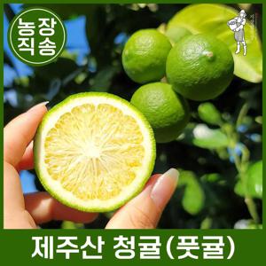 [지장샘농장]  제주 청귤(풋귤) 혼합과 3kg 5kg 10kg
