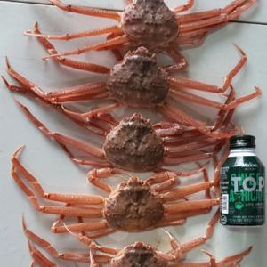 [푸디앤] 대나무 대게 암 빵게 1kg(4-7미) 주문 가능!