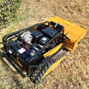 판매를 위한 잔디 깍는 기계 잔디 깎는 기계를 타고 주문을 받아서 만들어진 Rc 중국 원격 제어 중국