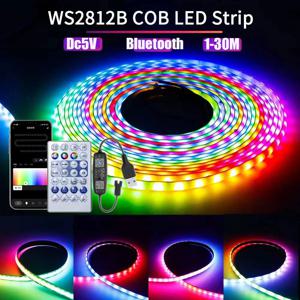 Ws2812B RGBIC LED 스트립 라이트 5V USB 벽걸이형 가정용 RGB 라이트 스트립 컨트롤러 앱 블루투스 제어 1-30M 플렉시블 리본 램프 다이오드