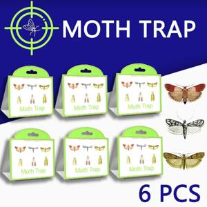 SilentKing 6PCS 나방 트랩 식료품 저장실 의류 주방 음식 홈 가든 해충 방제 나방 트랩 페로몬 나방 스티커 나방 트랩