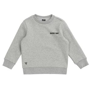 보송이 트레이닝 맨투맨 (G18KDT091-T)