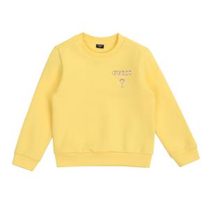 스몰 삼각 맨투맨 (G18KCT061-T)