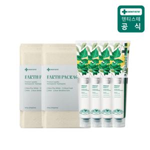 [내일도착]덴티스테 어스패키지 시트러스후레쉬 200g 2개x2세트