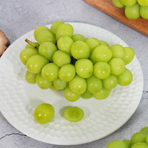 G) 경북 샤인머스켓 실속형 1kg 2-3수