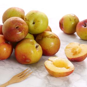새콤달콤 가정용 후무사 자두 1.5kg, 2kg, 3kg 外