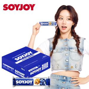 소이조이 블루베리 12개입
