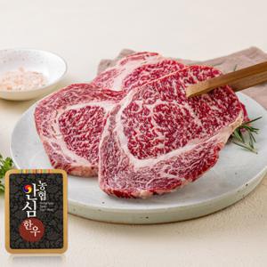 (신선집중) 농협안심한우 1등급 등심 500g 무료배송