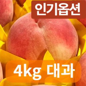 제철과일 딱딱이 복숭아 4kg 대과 14과내외